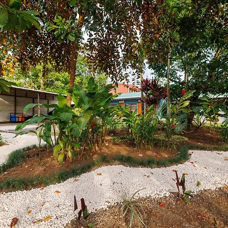 Rio Celeste Dreams Bijagua Luaran gambar