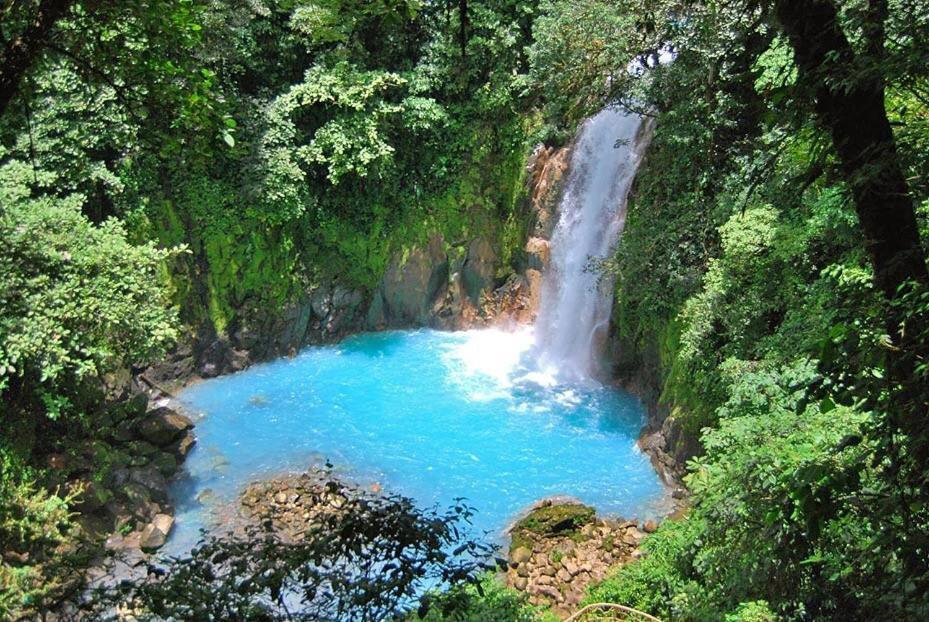 Xxx Blue Paradise - Rio Celeste Dreams Bijagua Luaran gambar